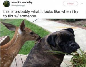 Stupid Bar Memes 2s13