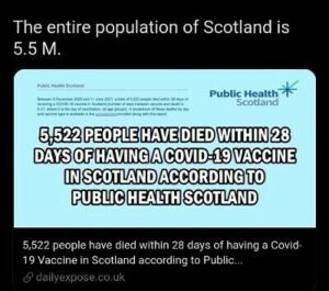 Stupid Bar Memes 4005d5be47cb75c4