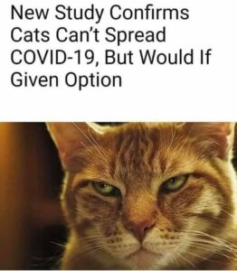 Stupid Bar Memes 46681f6b22ac4848