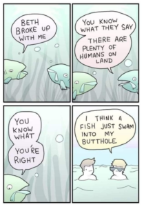 Stupid Bar Memes 5e5b779572fca51d
