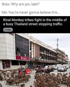 Stupid Bar Memes 6101a7e6186a6