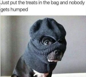 Stupid Bar Memes 7771ea8b5ea662b1
