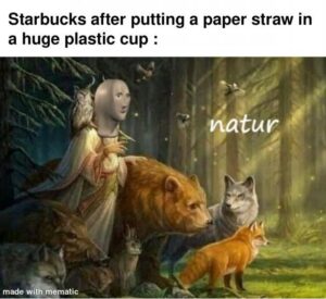 Stupid Bar Memes 7odp3q0bu3e71