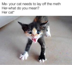 Stupid Bar Memes 86946274