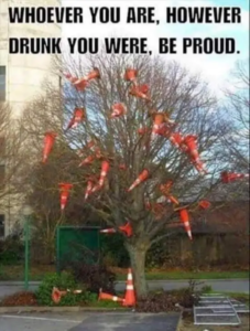 Stupid Bar Memes 914847764eda08de72bae1372db11ae2swidths600