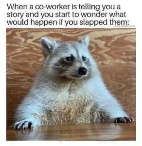 Stupid Bar Memes 91e1c08e546b5491