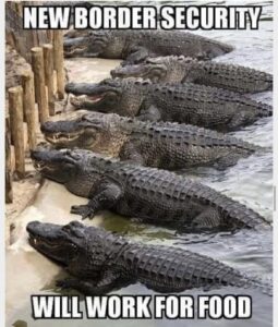 Stupid Bar Memes ec8d39efd987a4a7