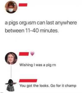 Stupid Bar Memes pbq3j2qukae71