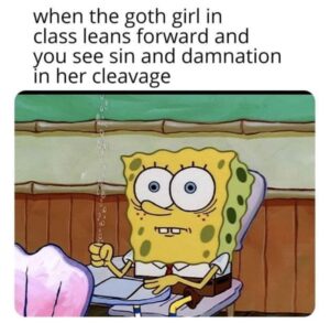 Stupid Bar Memes xegnsdz2zsb71