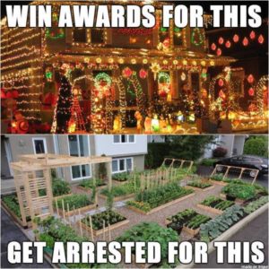 Stupid Bar Memes 0121f405f058de8c