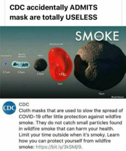 Stupid Bar Memes 0449042c826d5f8b