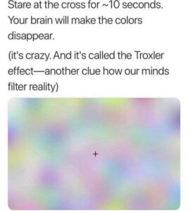 Stupid Bar Memes 050y78qwo0f71