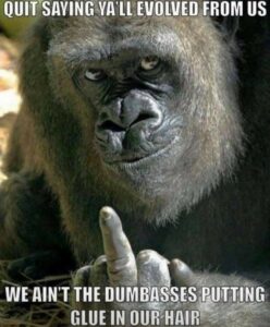 Stupid Bar Memes 05cc25175f3c43a3