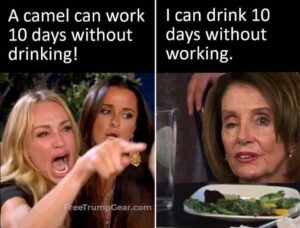 Stupid Bar Memes 0fae272cf30c289d