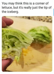 Stupid Bar Memes 169d51d0c57fabc1