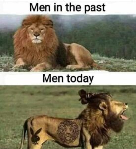 Stupid Bar Memes 16b2969e0a8e3a92 1