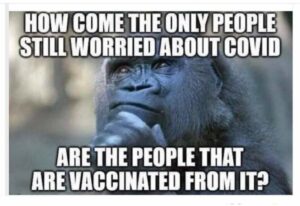Stupid Bar Memes 17ab5cc0681bd324