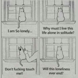 Stupid Bar Memes 1d7fd87e33520d94