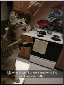 Stupid Bar Memes 2 2