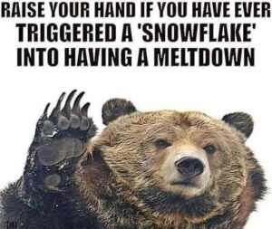Stupid Bar Memes 26c8c00f35cad19a