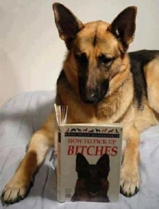 Stupid Bar Memes 2837b5676d987ec1