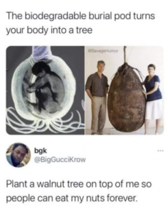 Stupid Bar Memes 2t5i4i3604h71