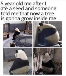 Stupid Bar Memes 3 7