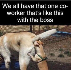 Stupid Bar Memes 3482fe111942c0c2