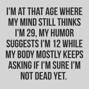Stupid Bar Memes 357d83d1634c2276