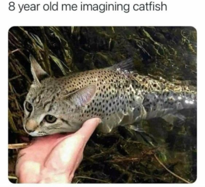 Stupid Bar Memes 39ee41d20d30b475
