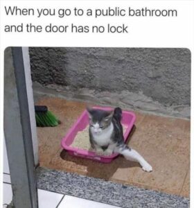 Stupid Bar Memes 3s16