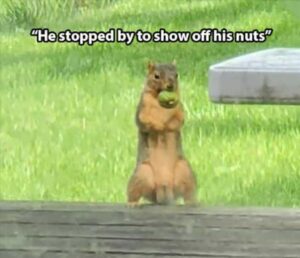 Stupid Bar Memes 3s19