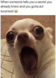 Stupid Bar Memes 46f58860087a917d