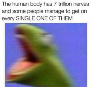 Stupid Bar Memes 4a74268315992b64