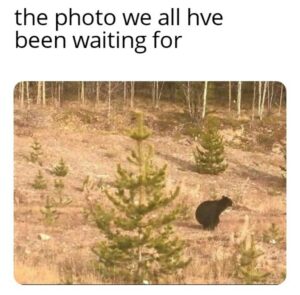 Stupid Bar Memes 4c658f73193b8eb1
