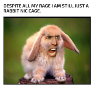 Stupid Bar Memes 4df62041799819de