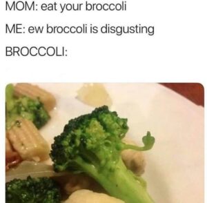 Stupid Bar Memes 4f0b1d9fd84611ea