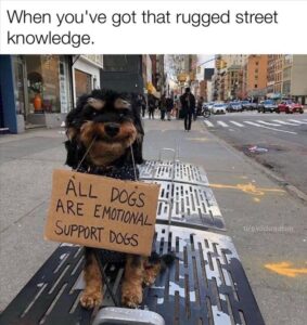 Stupid Bar Memes 4s11