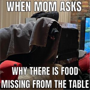 Stupid Bar Memes 4s15
