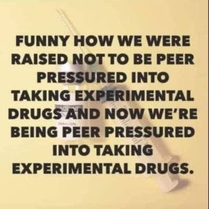 Stupid Bar Memes 522d6663694ed10c
