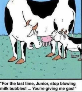 Stupid Bar Memes 5277c945fd3a02a3