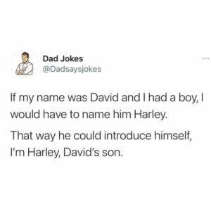 Stupid Bar Memes 53d0115a81499812