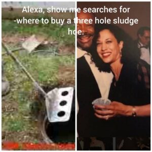 Stupid Bar Memes 53d5d732a03a352e