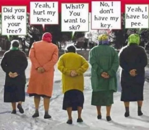 Stupid Bar Memes 582068c8a18cd646
