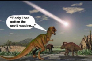Stupid Bar Memes 5ad639d556680c71
