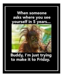 Stupid Bar Memes 5ee93b7c854edfd9 1