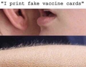 Stupid Bar Memes 5fb221dbb8df51f3