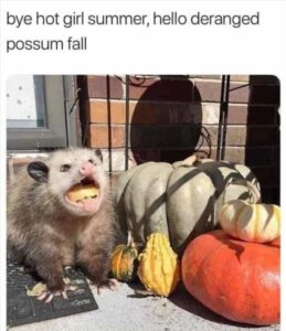 Stupid Bar Memes 5s6