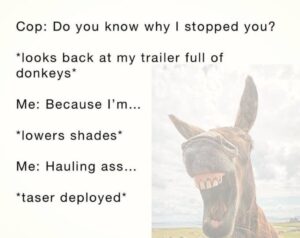 Stupid Bar Memes 609b4a2978cfddd3