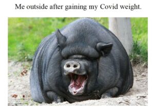 Stupid Bar Memes 6105b87fe5cdb
